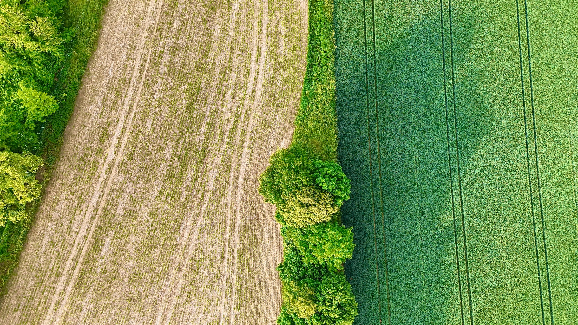 Vista aérea de uma área agrícola dividida por vegetação
